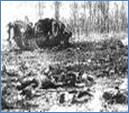 Bullecourt. 2 jpg